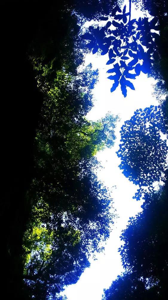 神秘的岛屿